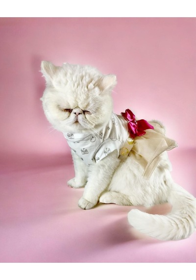 Kemique Creamy Fuschia Tütülü Kedi Elbisesi