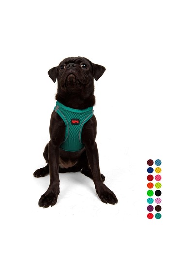 Tailpetz Air-mesh Küçük Ve Orta Irk Kedi Köpek Göğüs Tasması - Yumuşak, Nefes Alabilir, Dayanıklı Emerald, Medium Sku: Zeusb08vybkvvc Açık Bej - Bej