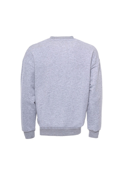 Wessi Gri Bisiklet Yaka Nakışlı Erkek Sweat Gri