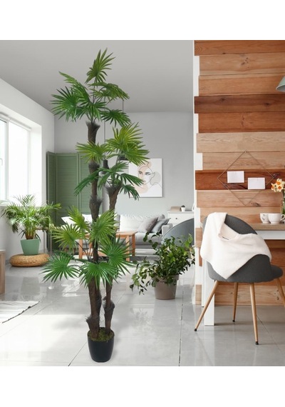 Yapay Ağaç Palmiye Fanpalm 3katlı 24yaprak Siyah Plastik Saksıda 165 65cm