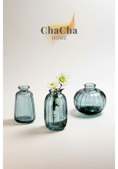 Chacha Home Modern 3'lü Minimalist Cam Çiçek Vazosu Dekoratif Masa Üstü Vazo Seti Turkuaz