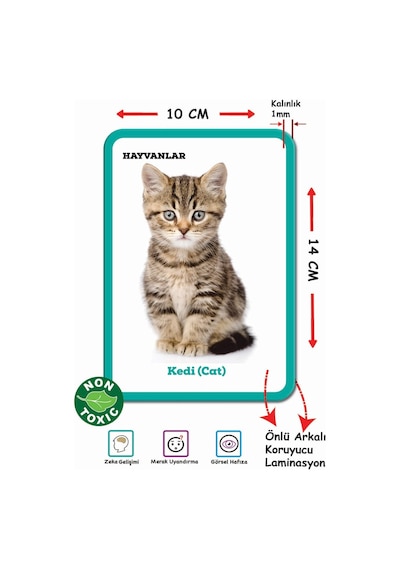 Ilk 100 Hayvan Bebeğimin Zeka Kartları