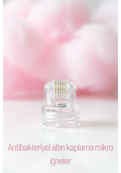 Hydra Roller Pen Skın Care Mezoterapi