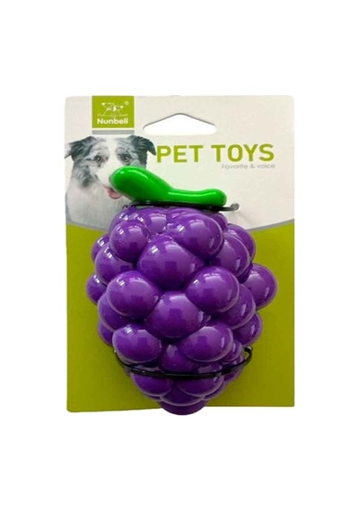 Nunbel Köpek Oyuncağı Plastik Üzüm Aromalı