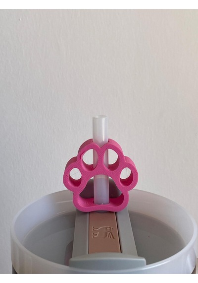 Pati Koruyucu Model Pipet Süsü Termos Uyumlu Quencher İle Uyumlu Pembe