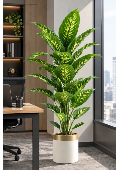 Yoğun Yapraklı Premium Difenbahya 160-170 Cm Yeşil-sarı 34 Yapraklı Çok Renkli