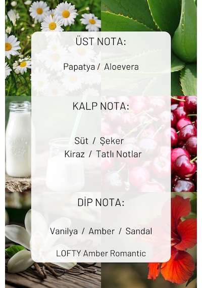 Lofty Pudra Lavanta Amber Uçucu Yağ Buhurdanlık Esansı Oda Kokusu 10 ML