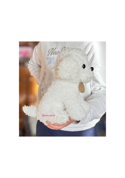 Sevimli Köpek Kaniş Peluş Oyuncak 20 Cm Puppy Gerçekçi Ev Dekorasyon Beyaz