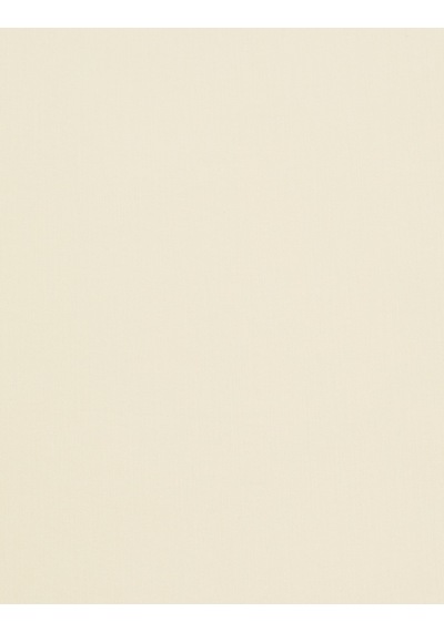 Pierre Cardin Kadın Beyaz Etek Dokuma 50325152-vr013