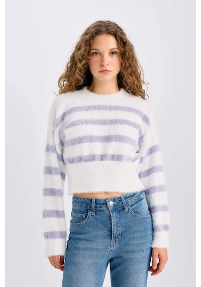 DeFacto Regular Fit Çizgili Bisiklet Yaka Triko Kazak R1285AZ24CWPR68 Mor