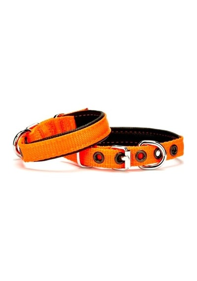 Softlu Köpek Boyun Tasması 1,5 Cm X 30 Cm Tcu Çok Renkli