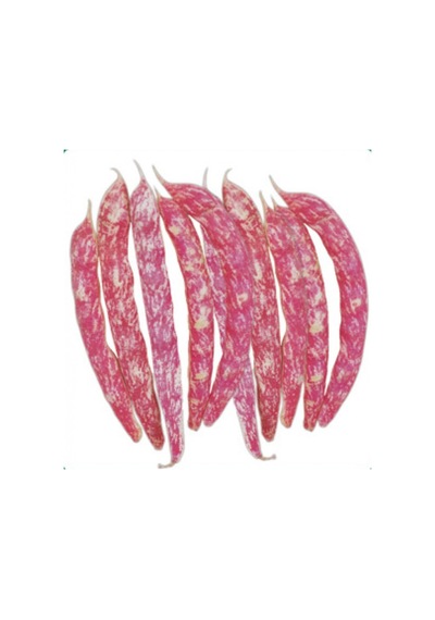 Fide Sepeti Oturak Barbunya Tohumu 50GR 1 Paket
