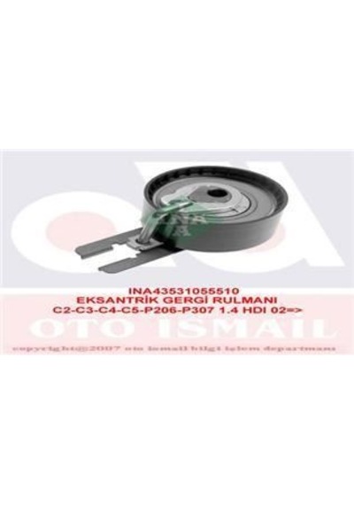 INA 531055510 TRİGER EKSANTRİK GERGİ RULMANI 107 206 207 307 407