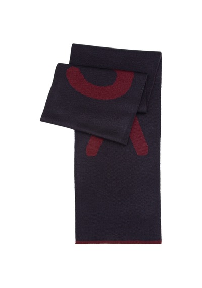 U.s. Polo Assn. Erkek Lacivert Kaşkol 50311841-vr033 Lacıvert