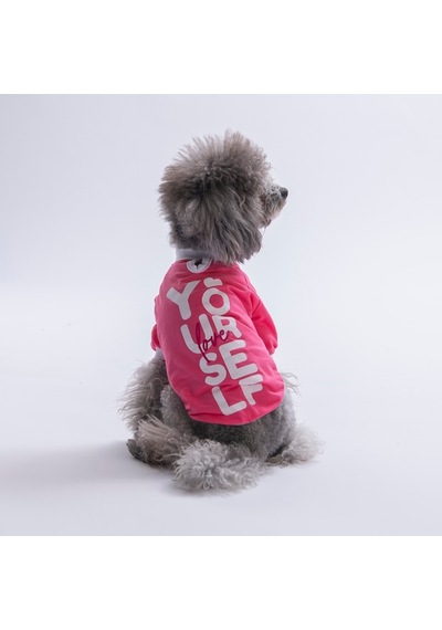 Pink-pembe Yourself Love Sweat Kedi Köpek Sweati - Kedi Köpek Kıyafeti