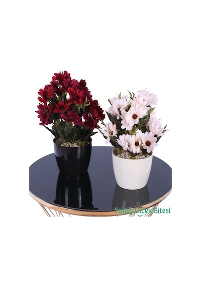Yapay Çiçek Sitesi Plastik Saksıda Yapay Katmerli Papatya Tanzimi 2'li Set 25 Cm Bordo - Krem