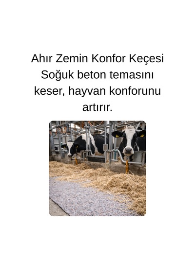 Yalıtım Keçesi Karavan, Parke Altı, Şap Altı, Ahır Ve Kümes İçin Isı & Ses İzolasyonu 200x2500