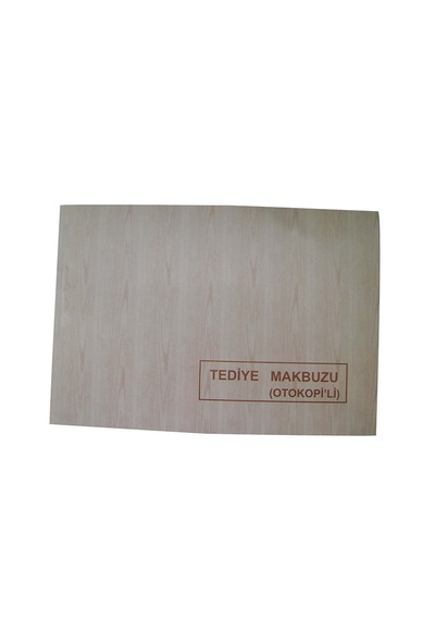 Dilman Tediye Makbuzu 2/50 3 N Otokopili- 6 Adet