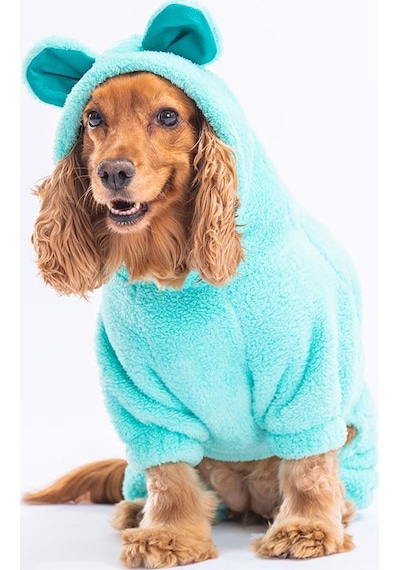 Mint Koala Küçük Irk Peluş Tulum Köpek Tulumu Köpek Kıyafeti Kedi Kıyafeti L