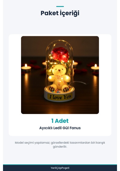Ayıcıklı Ledli Gül Fanus Standart