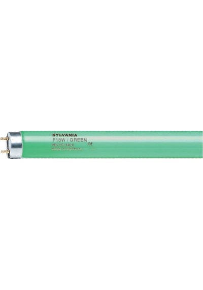 36 W Uzun Flouresan Lamba - Ampul Yeşil 120 Cm