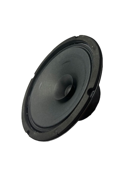 Lastvoice Ayn-8 Full Kağıt 150 Watt 8 Ohm 20 Cm 8 İnç Hoparlör Adet