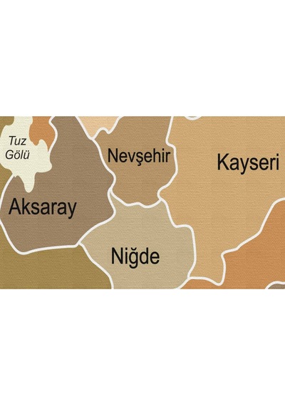Doğaltercih Türkiye Haritası Kanvas Tablo Sınır Komşulu Eğitici ve Öğretici Dekoratif Tablo 3104