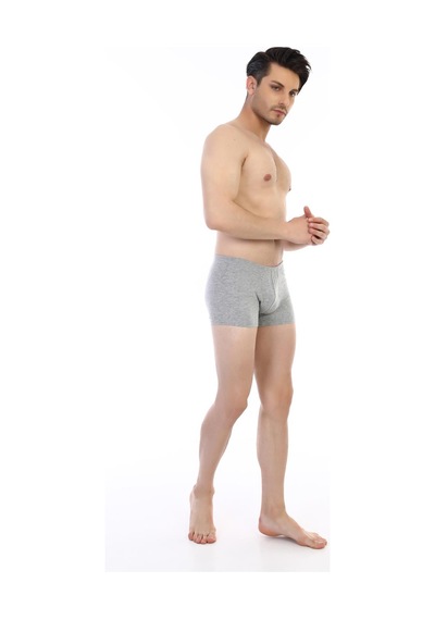 Çift Kaplan Erkek Elastanlı Gri Boxer 810 Gri