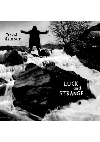 David Gilmour - Luck And Strange Lp Plak