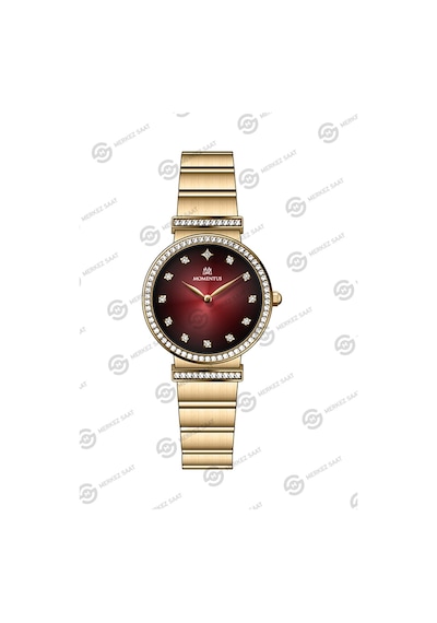 Momentus Women's Shiny Ss396g-14sg Gri
