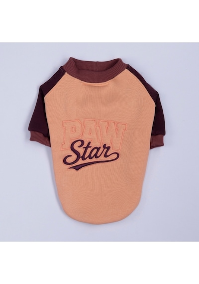 Somon Boston Pawstar Sweat Köpek Sweatshirt Köpek Sweat Köpek Kıyafeti Kedi Kıyafeti Somon Boston Pawstar Sweat Köpek Sweatshirt Köpek Sweat Köpek Kıyafeti Kedi Kıyafeti