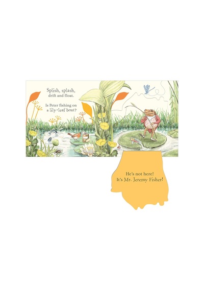 Where İs Peter Rabbit : Lift The Flap Book