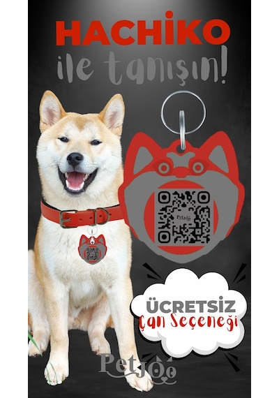 Petjoo 19.Hachiko Gri-Kırmızı Qr'lı Köpek Künyesi