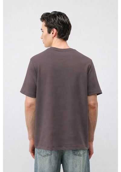 Antioch Regular Fit Basic Erkek T-shirt Koyu Vizon