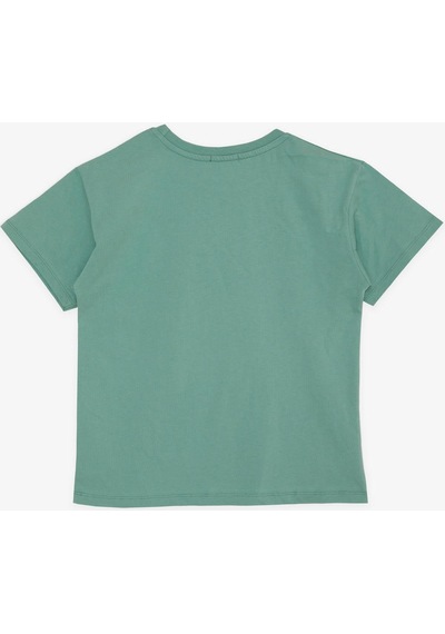 Breeze Girls & Boys Erkek Çocuk Tişört Yazı Baskılı 5-10 Yaş, Mint Yeşili-mint Yeşili Mint