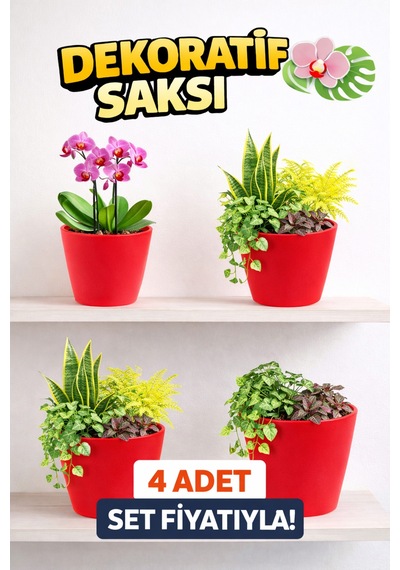 Modern Kırmızı Saksı Seti 4 Adet Orkide Ve Ev Bitkileri İçin