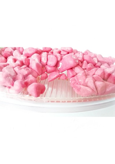 Bölmeli Izgaralı Betta Beta Kabı Tankı Akvaryum 1800 Ml - 19x8x13 Cm Pembe