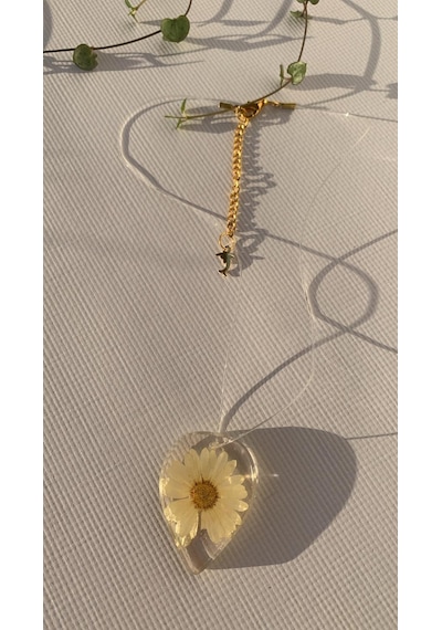 Şeffaf Renkli Kurutulmuş Sarı Papatya Damla Şekilli Yunuslu Gold Şeffaf