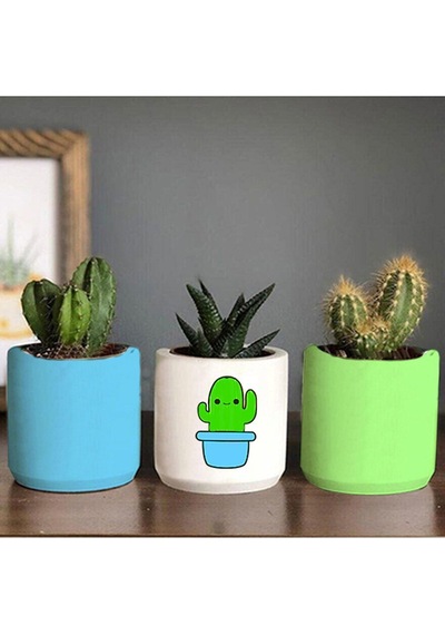 Mavi Saksılı Kaktüs Desenli Saksı Üçlü Set- Küçük Boy Sukulent Saksı Hediyelik