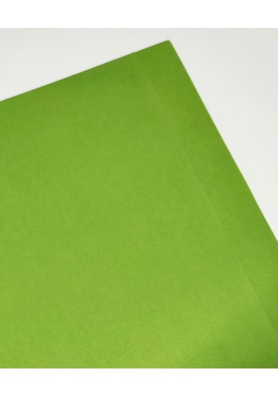 Hannemühle Creative 160 G Dokulu Fon Kartonu 50x65 CM Zeytin Yeşili