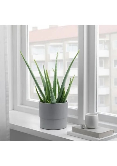 Sumuhome Nypon Dekoratif Plastik Saksı Gri 15 Cm