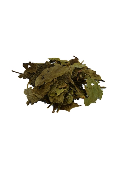 Lokman Avm Doğal Ceviz Yaprağı 100 G