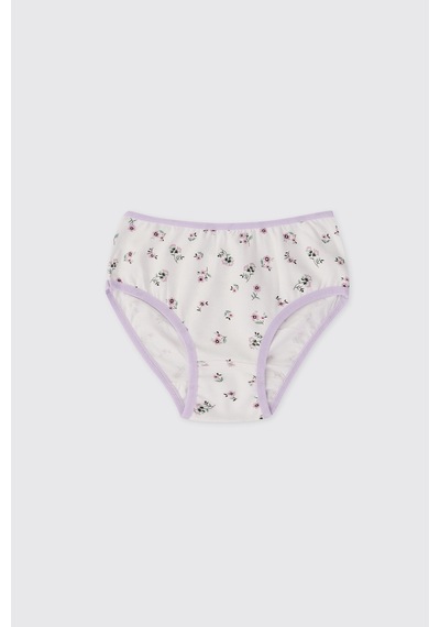 Panço Kız Çocuk Renkli 3'lü Slip Seti 2612gk14001
