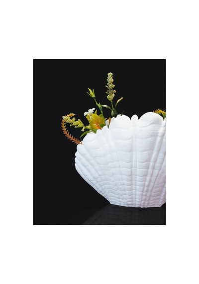 Deniz Kabuğu Görünümlü Saksı Dekoratif 3d Özel Tasarım Premium Hediyelik Beyaz - 858785211
