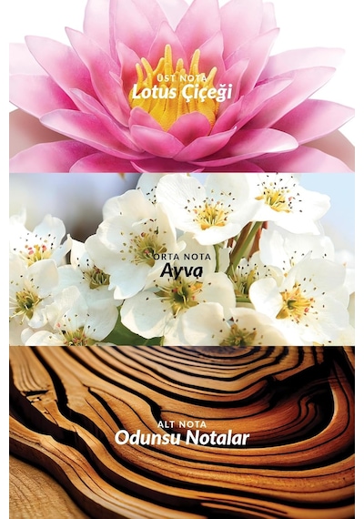 Avon Incandessence Lotus Kadın Parfüm Edp 50 Ml Diğer