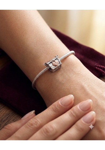 Kadın Sandık Model Gümüş Charm
