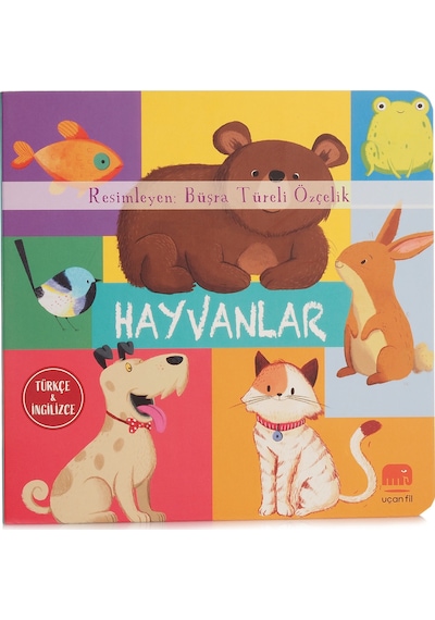 Epsilon Yayınevi Uçanfil Hayvanlar