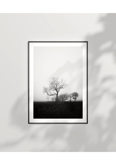 Çerçevesiz Poster Sessiz Bir Sabah