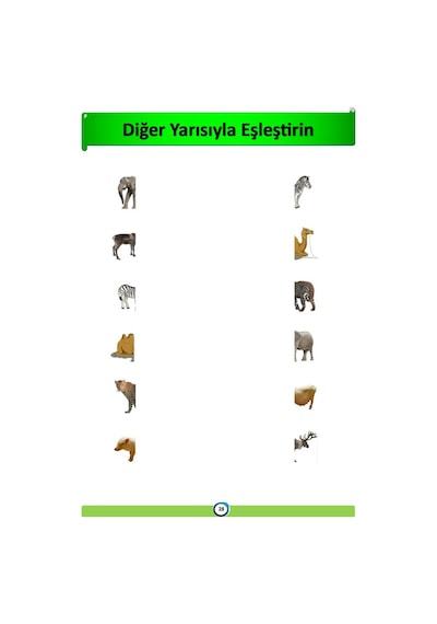 Okul Öncesi Eşleştirme YAZ-Sil Kitabı