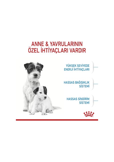 Royal Canin Mini Starter Yavru Köpek Maması 4 KG